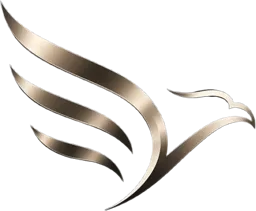 Eagle IX Financial Systems